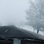 DSCF4267.JPG
