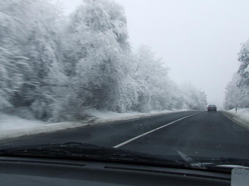 DSCF4268.JPG