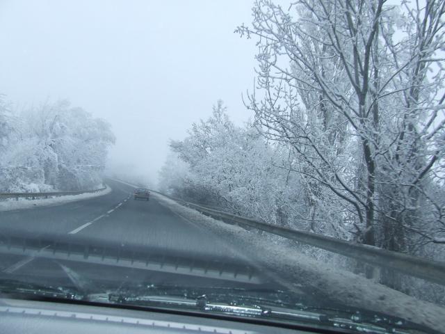 DSCF4270.JPG