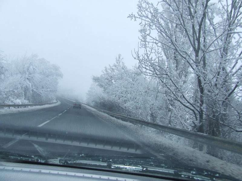 DSCF4270.JPG