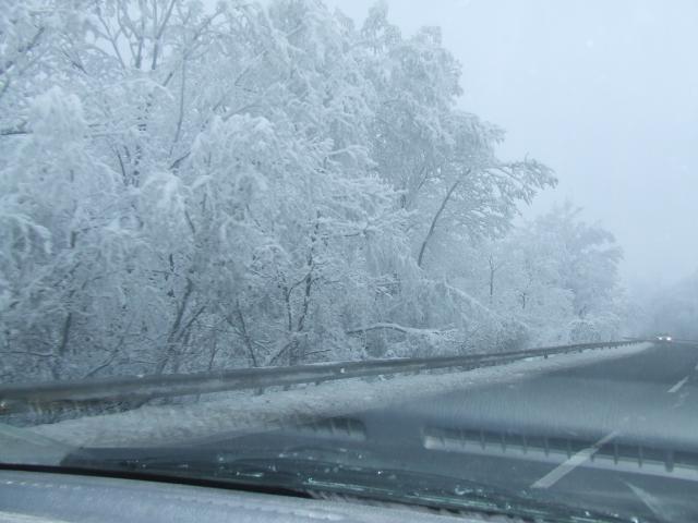 DSCF4271.JPG