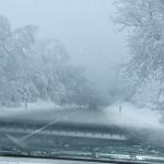 DSCF4273.JPG