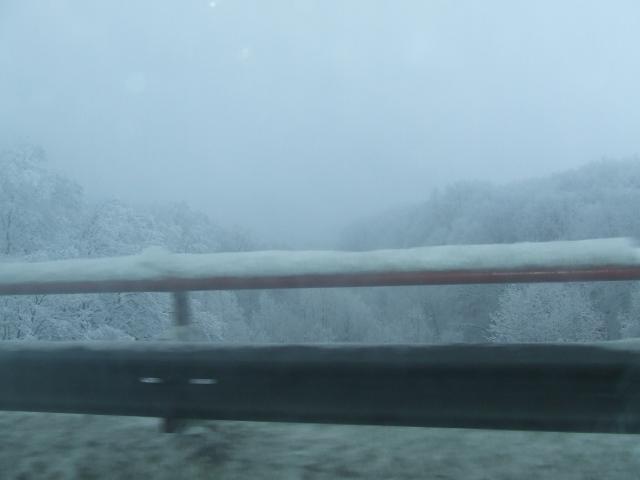 DSCF4274.JPG