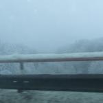 DSCF4274.JPG