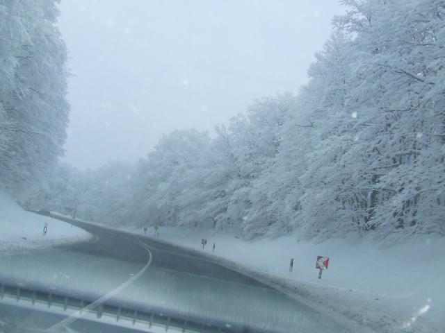 DSCF4275.JPG