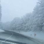 DSCF4275.JPG