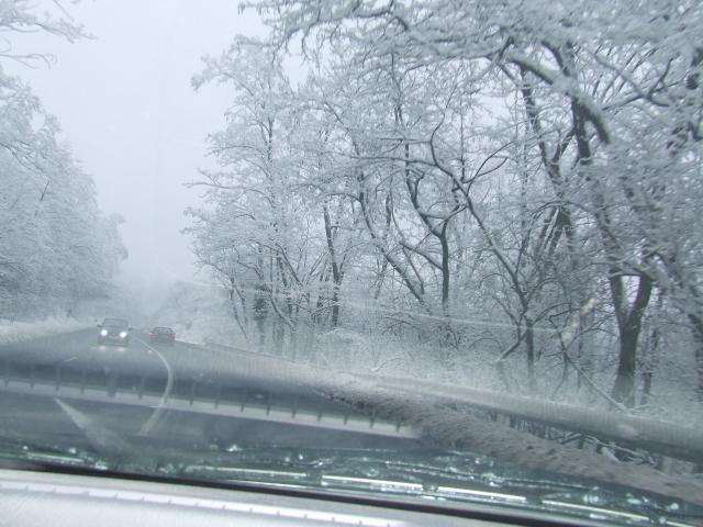 DSCF4278.JPG
