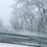 DSCF4278.JPG