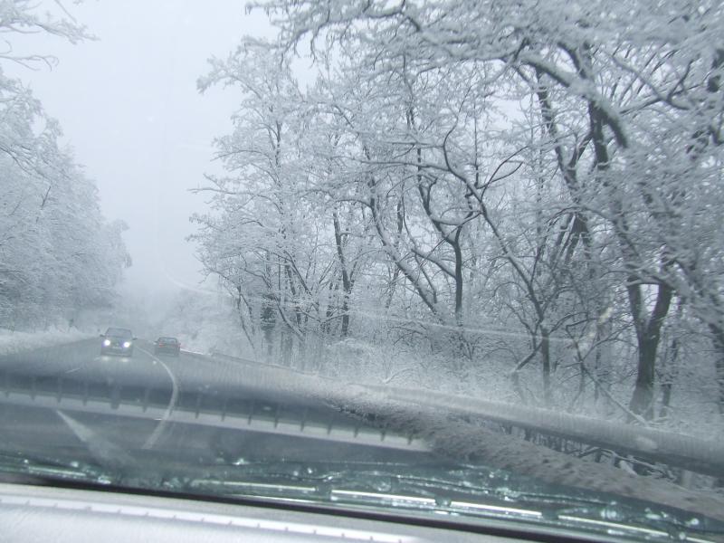 DSCF4278.JPG