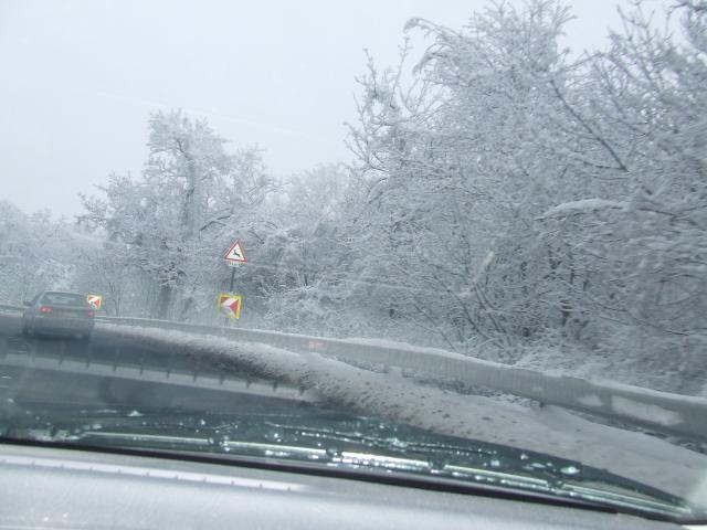 DSCF4279.JPG