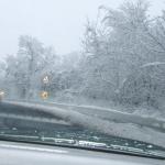 DSCF4279.JPG
