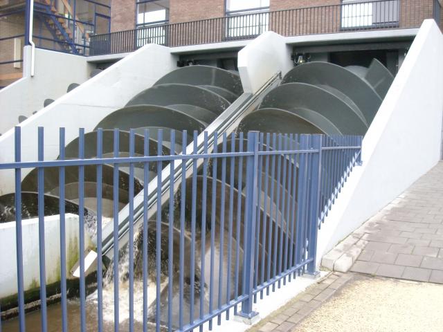 DSCN0099.JPG
