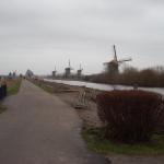 DSCN0100.JPG