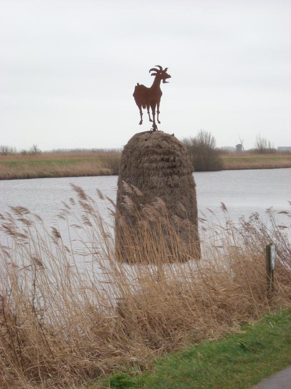 DSCN0101.JPG