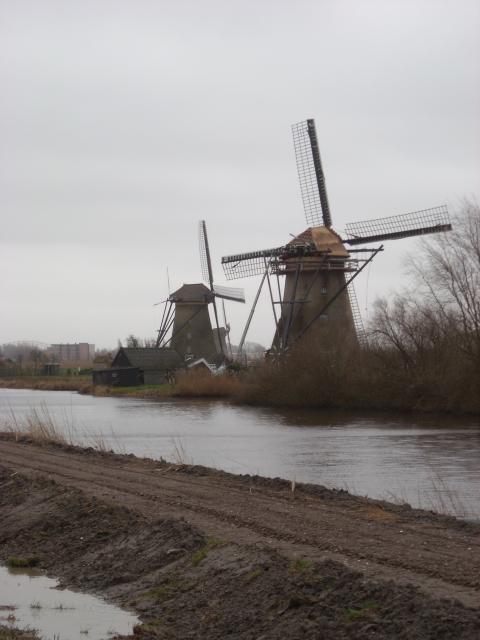 DSCN0102.JPG