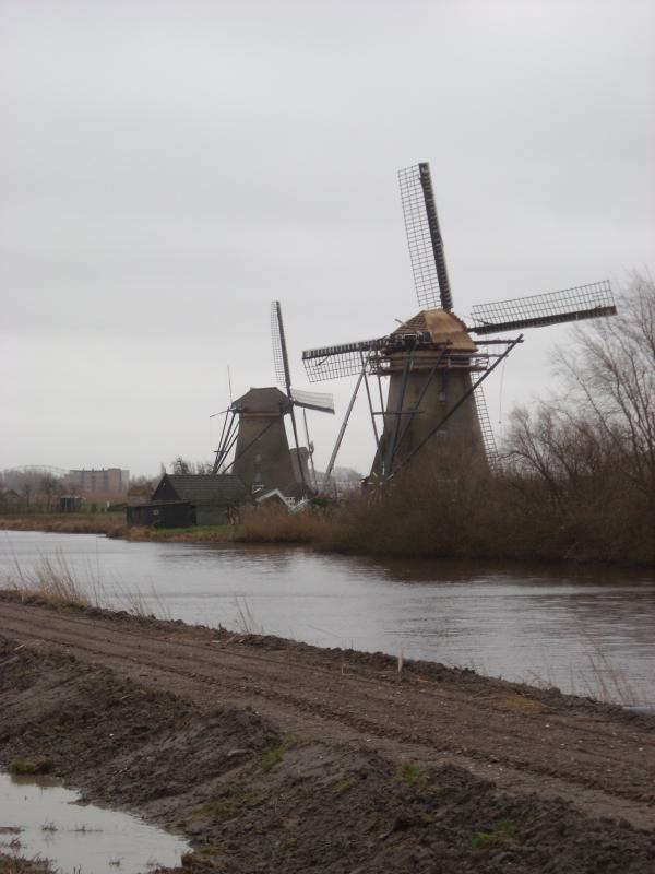 DSCN0102.JPG