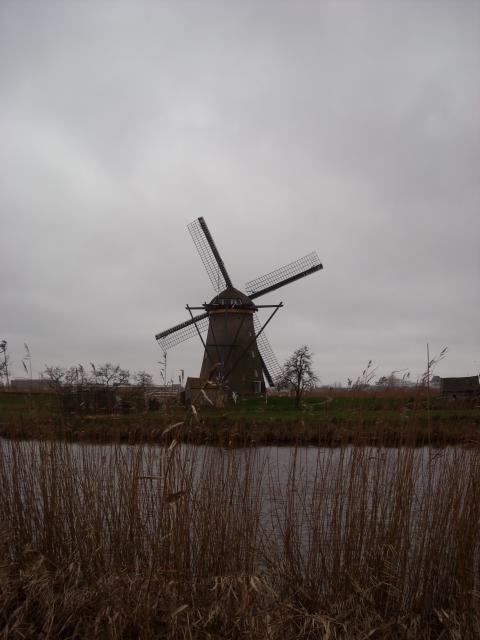 DSCN0105.JPG