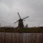 DSCN0105.JPG