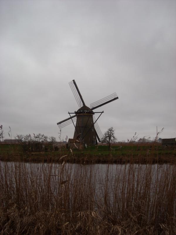 DSCN0105.JPG