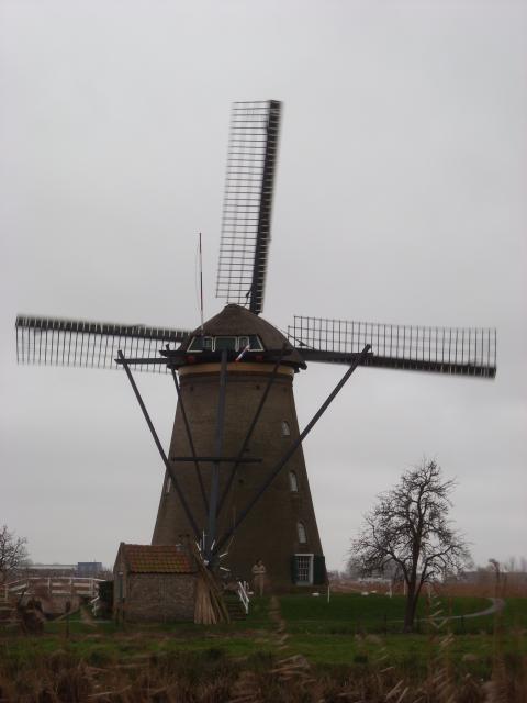 DSCN0106.JPG