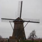 DSCN0106.JPG