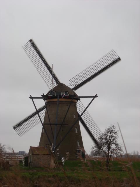DSCN0107.JPG