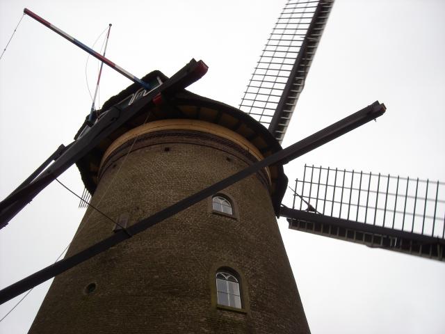 DSCN0113.JPG