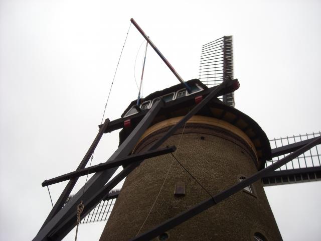 DSCN0115.JPG