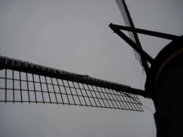DSCN0116.JPG