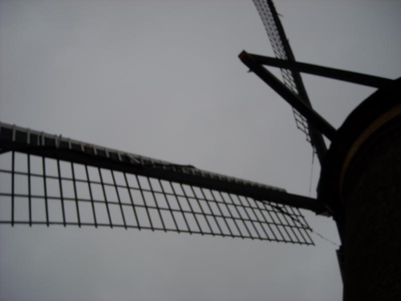 DSCN0116.JPG