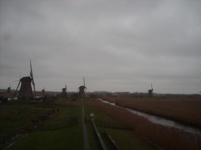 DSCN0126.JPG