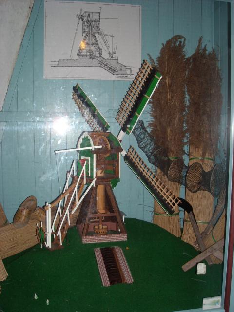 DSCN0128.JPG