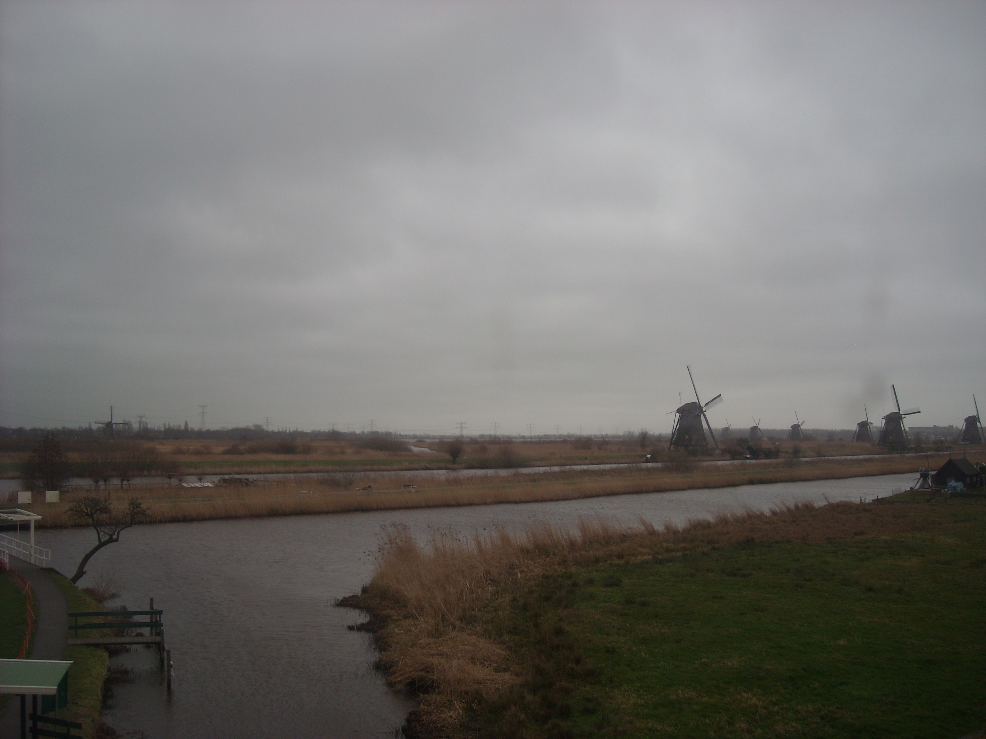 DSCN0131.JPG