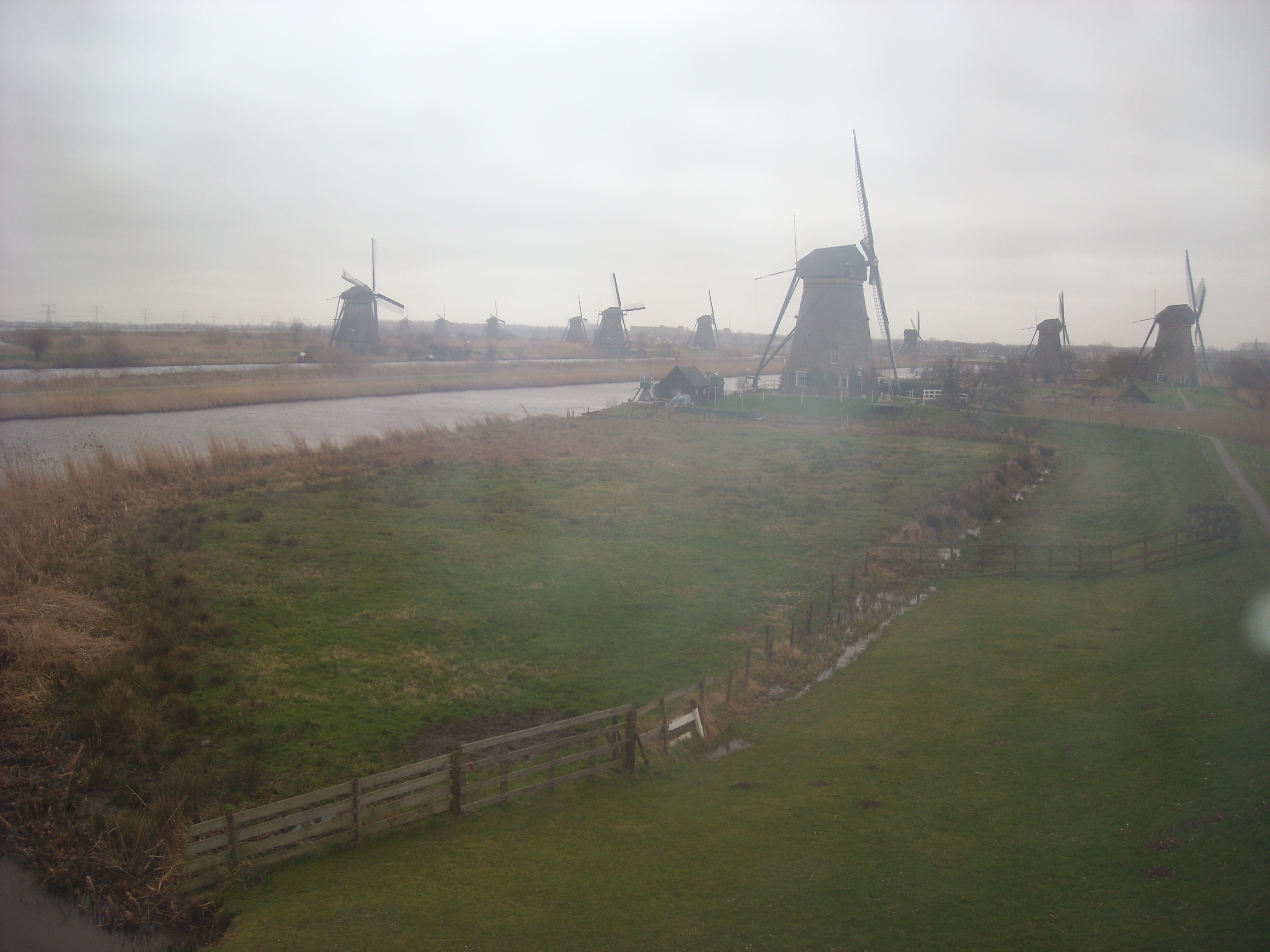 DSCN0133.JPG