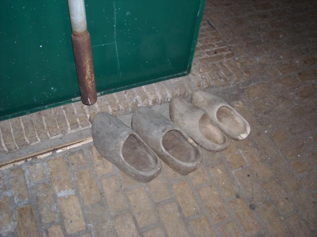 DSCN0135.JPG
