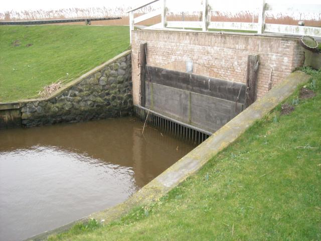 DSCN0138.JPG