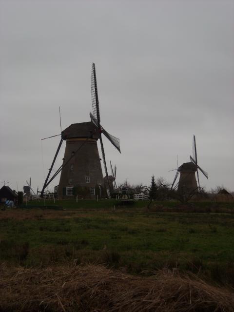 DSCN0139.JPG