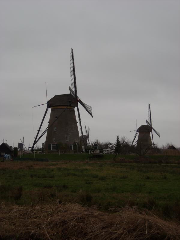 DSCN0139.JPG