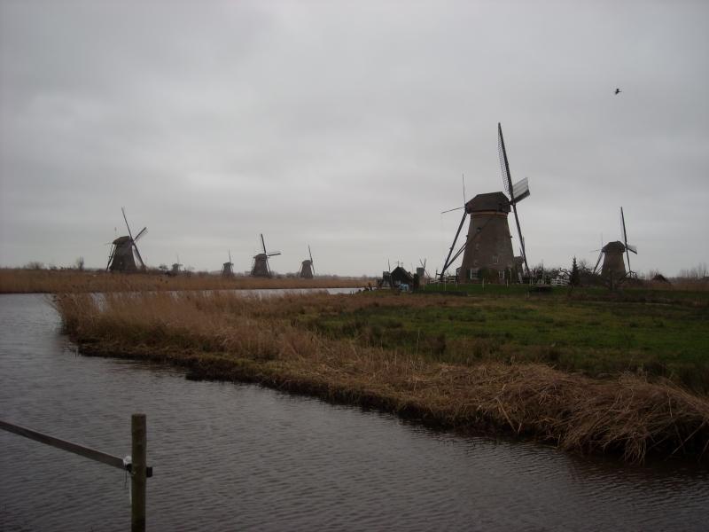 DSCN0140.JPG