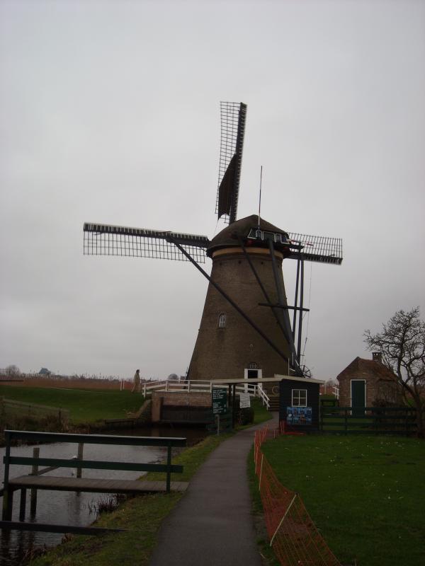 DSCN0141.JPG