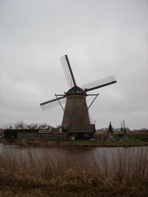 DSCN0144.JPG