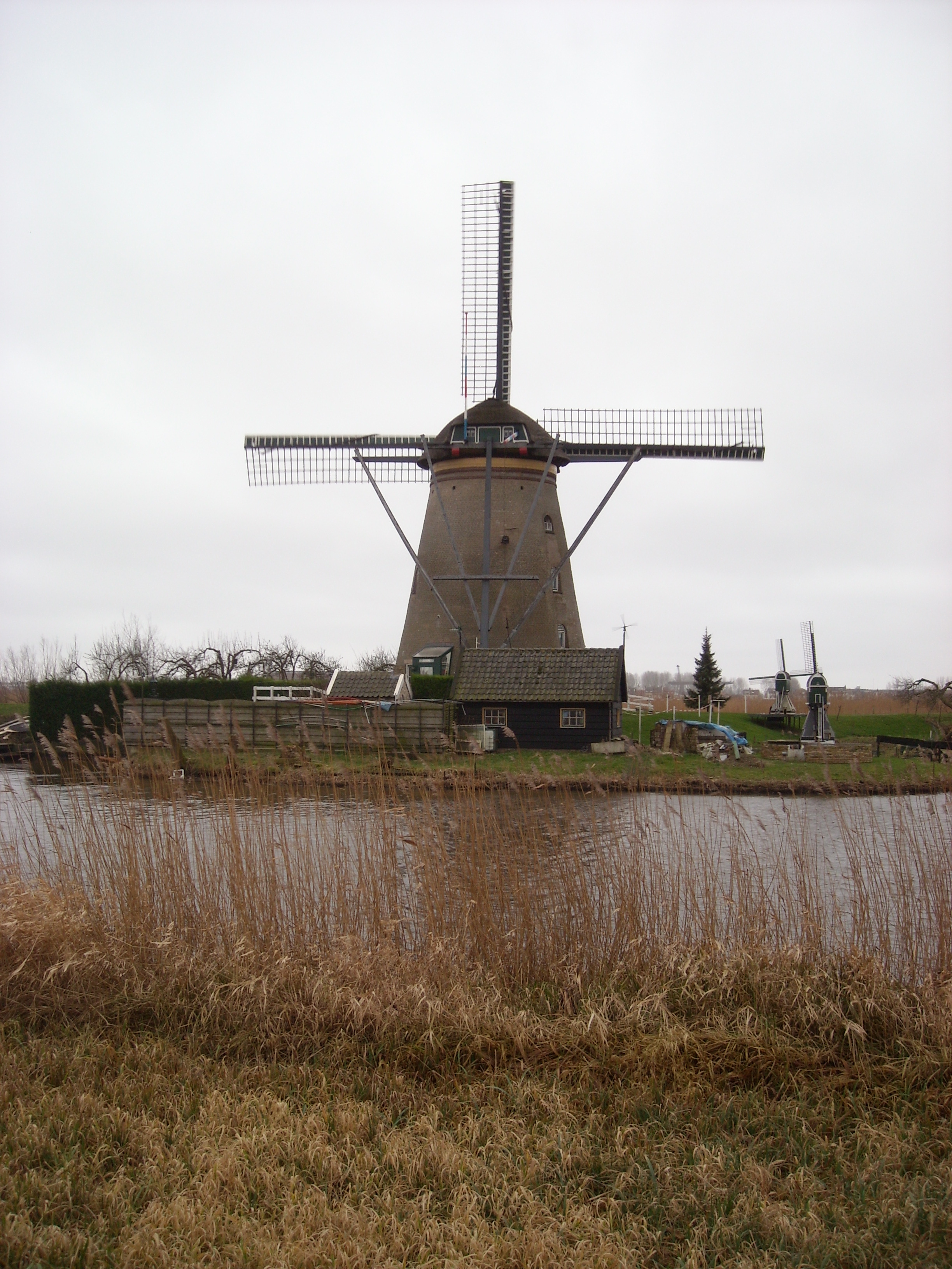 DSCN0145.JPG