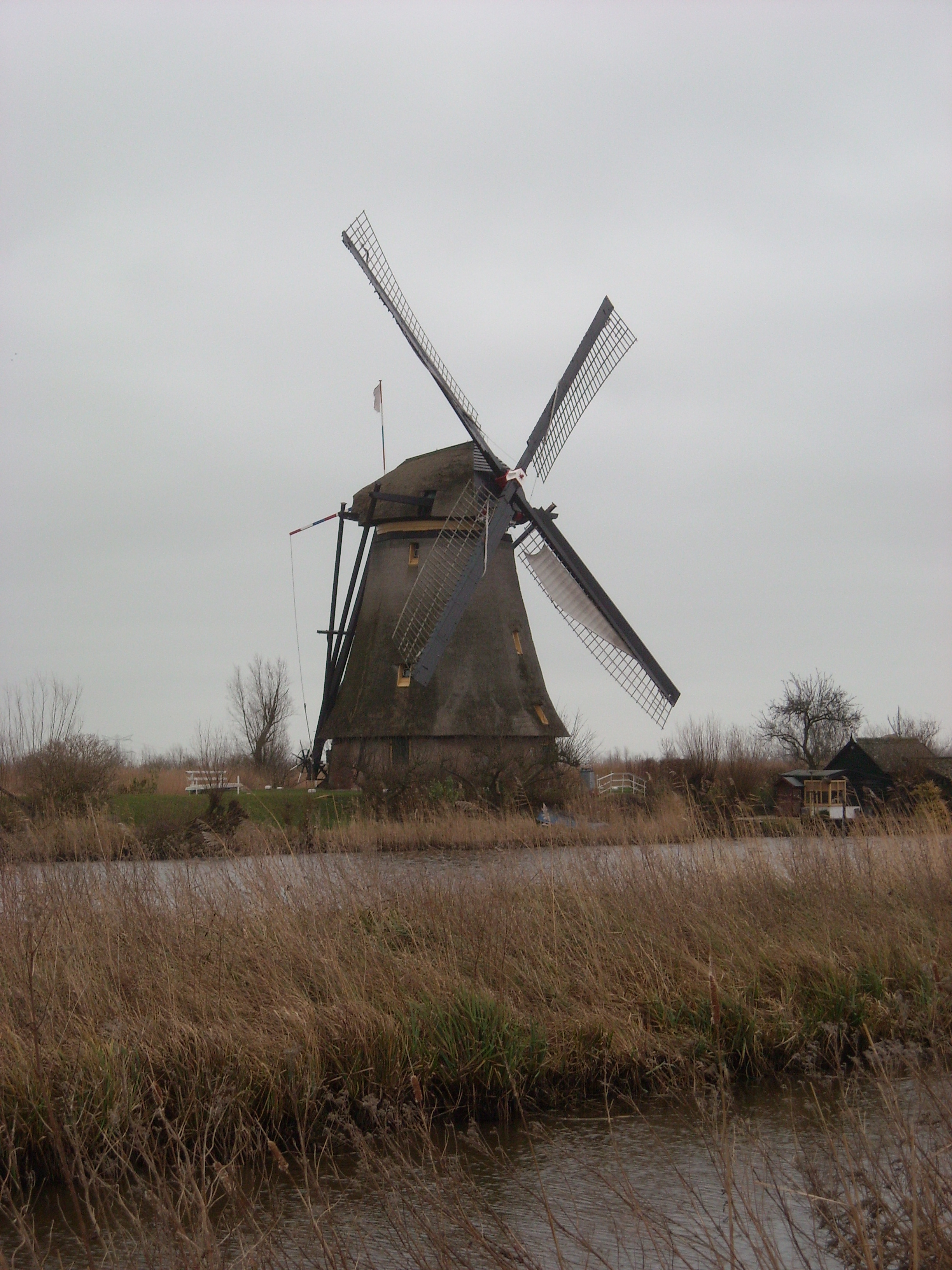 DSCN0146.JPG