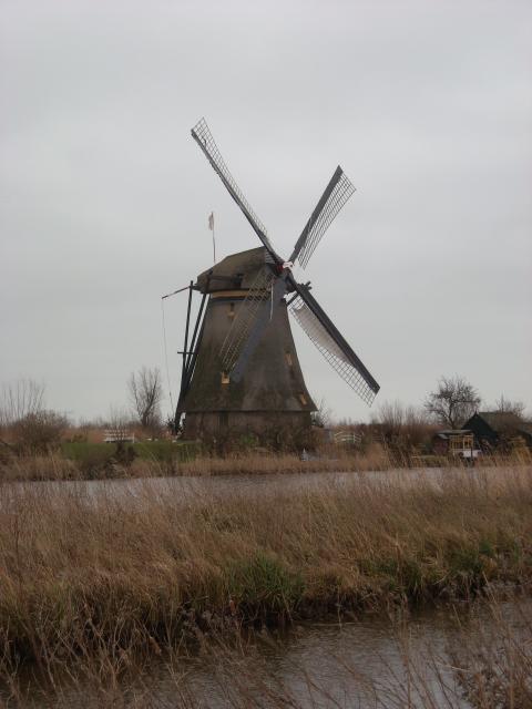DSCN0146.JPG