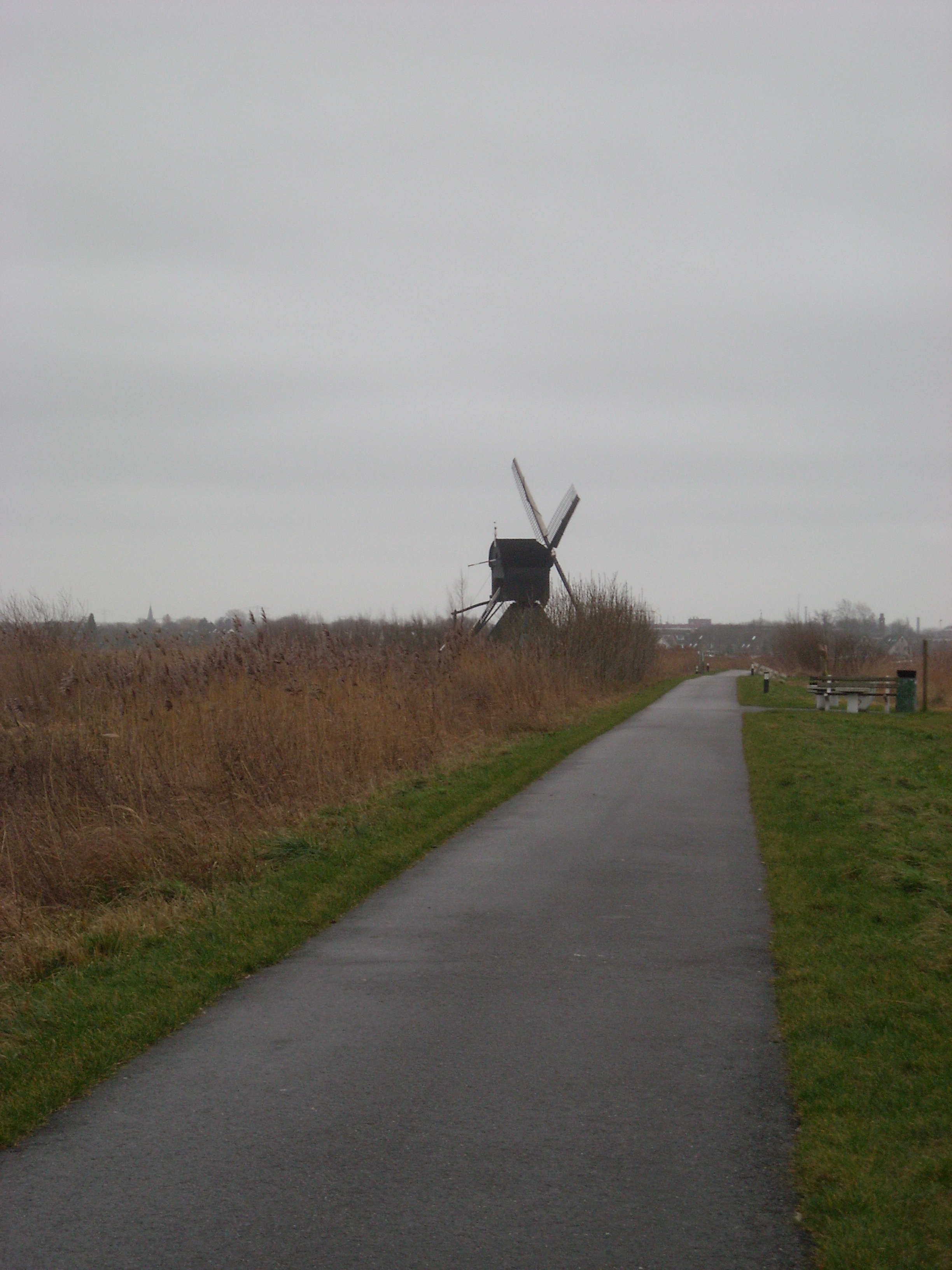 DSCN0147.JPG
