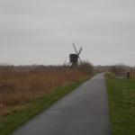 DSCN0147.JPG