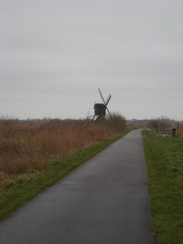 DSCN0147.JPG