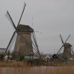DSCN0148.JPG