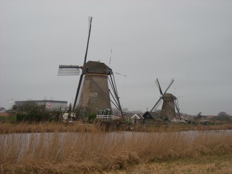 DSCN0149.JPG