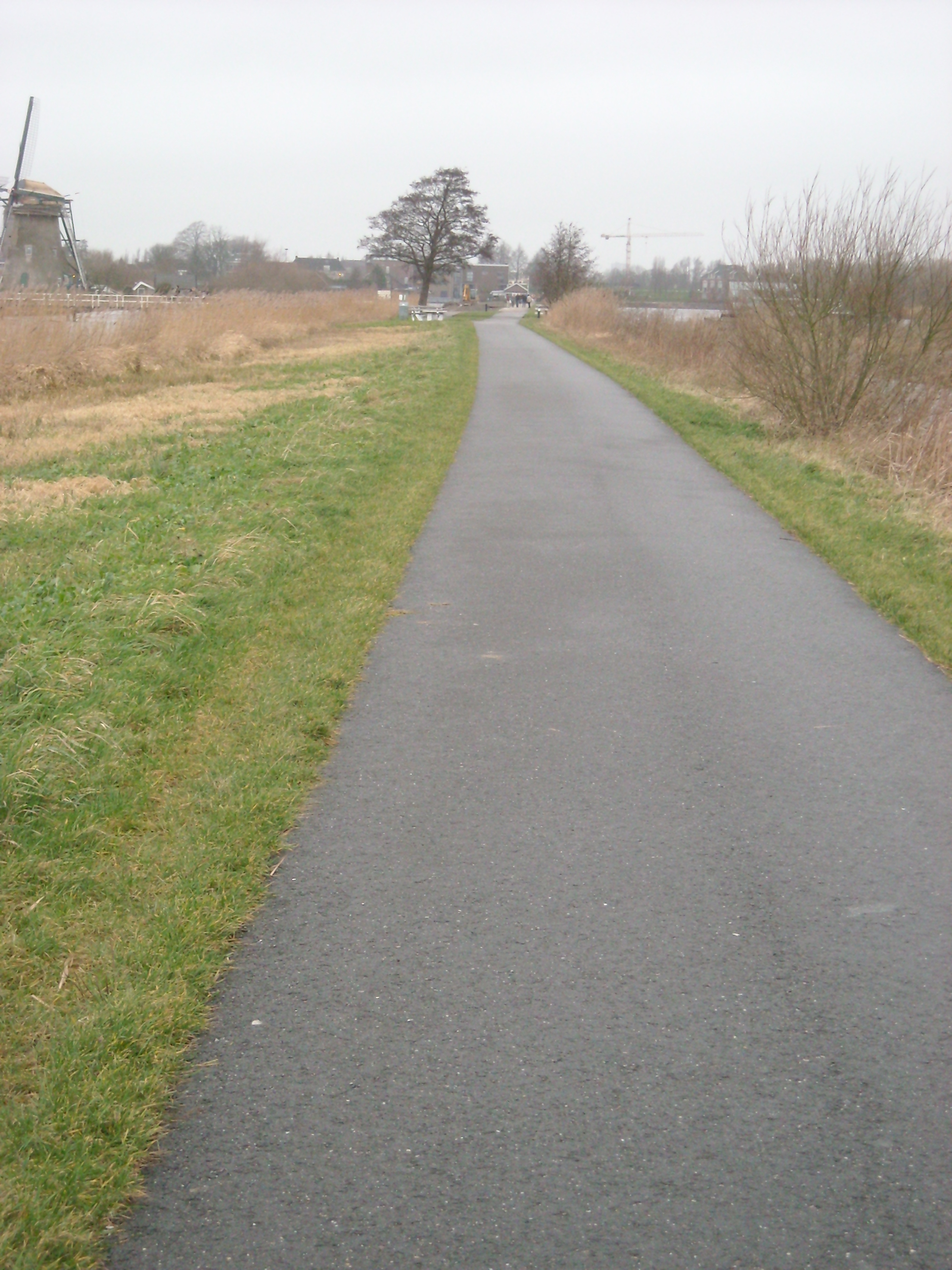 DSCN0151.JPG